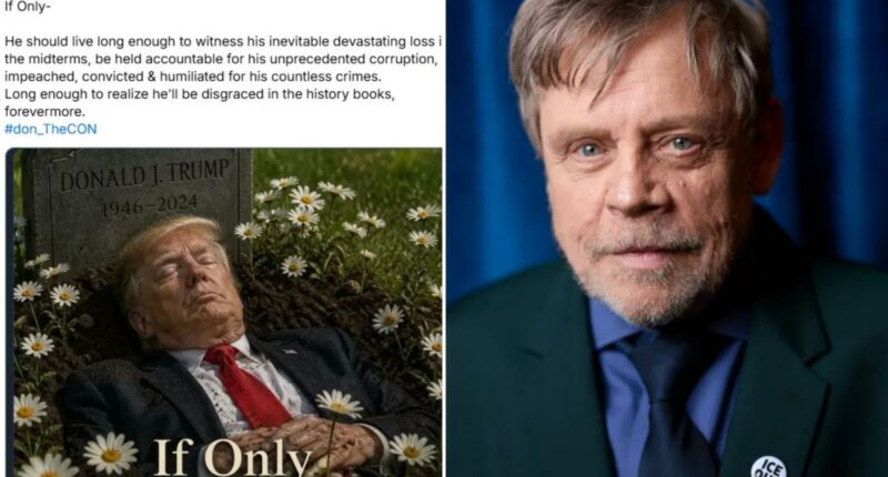 âStar Warsâ actor Mark Hamill deletes Trump death image, posts apology